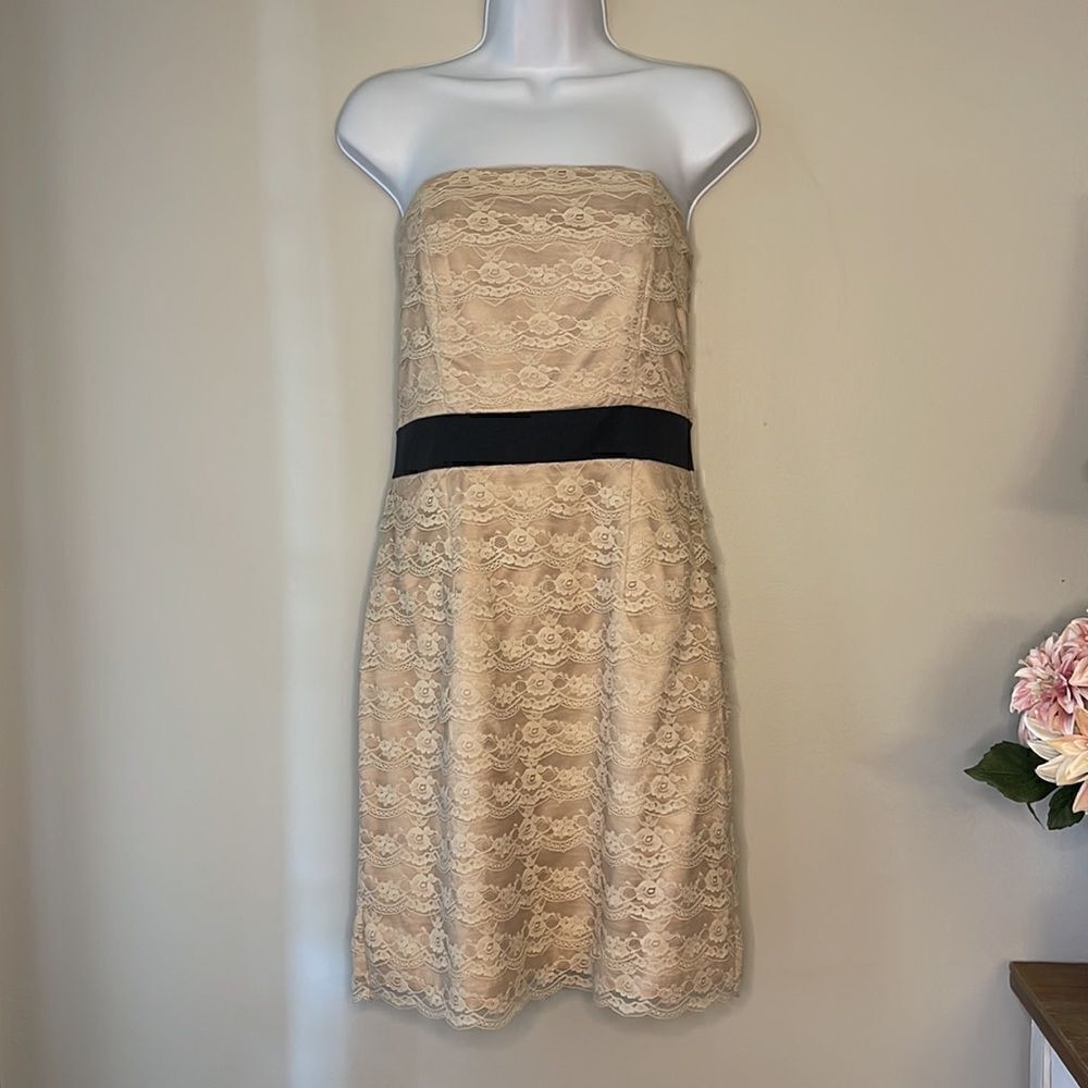 H&M Dresses Pale Pink Layered Lace Strapless Dress